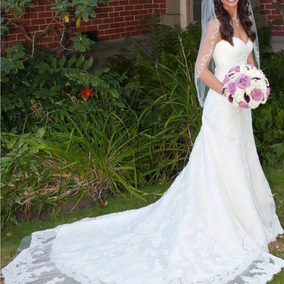 Stunning White Lace Wedding Gown - Picture 6 of 7